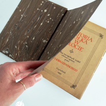 J. I. Kraszewski, Historia kołka w płocie J. I. Kraszewski, Historia kołka w płocie